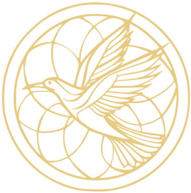 zenluxurycomplex.com